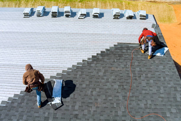 Best Roof Installation  in Manana, HI